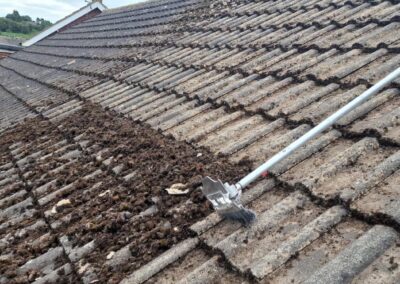 Roof Moss Cleaning Lincolnshire